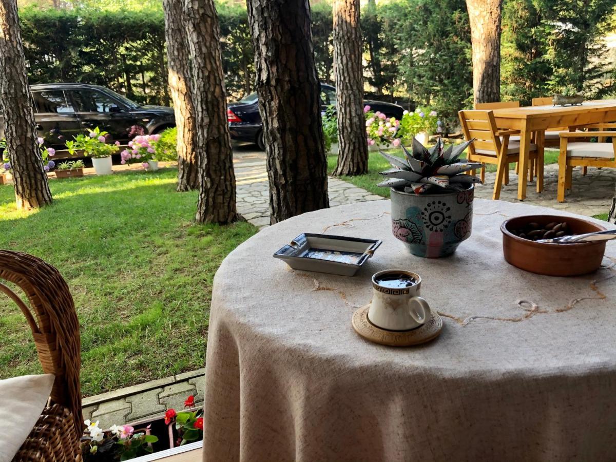 Vila Lulebore Velipojë Εξωτερικό φωτογραφία